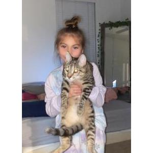 Lost Cat Aaliyah/ Rue