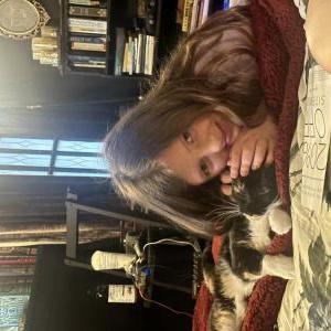 Lost Cat Princess