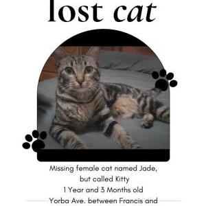 Lost Cat Jade
