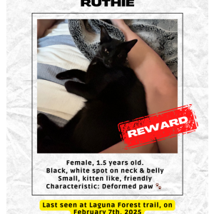 Lost Cat Ruthie