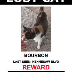 Lost Cat BOURBON