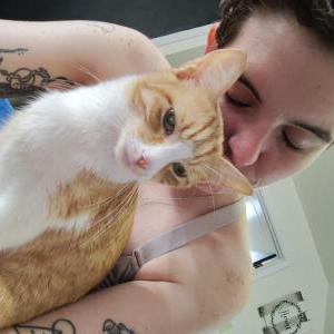 Lost Cat NASA