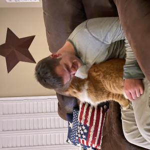 Lost Cat Archie