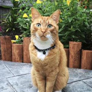 Lost 2 Rascal (FL)