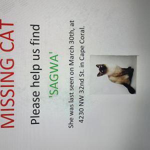 Lost Cat Swags