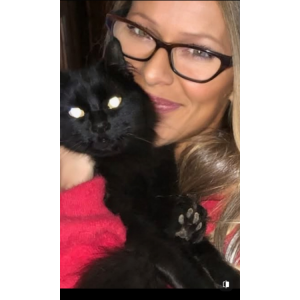 Lost Cat Lexi