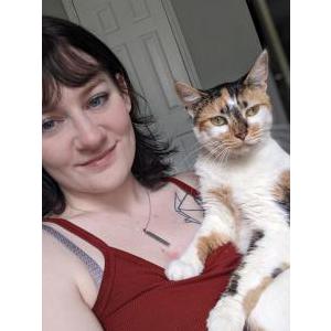 Lost Cat Bindi