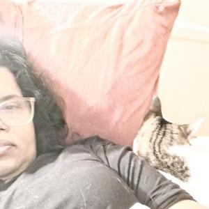 Lost Cat Cain