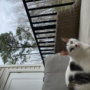 Lost 2 Cash (NC)