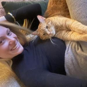 Image of Persephone, Lost Cat