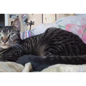 Lost 2 Malachi (WA)