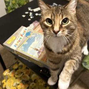 Lost 2 Quinn (PA)