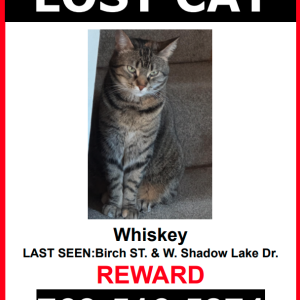 Lost Cat Whiskey