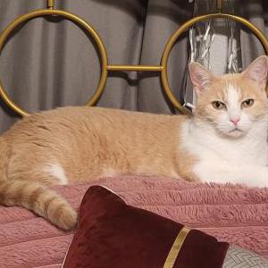 Lost 2 Charlotte (FL)