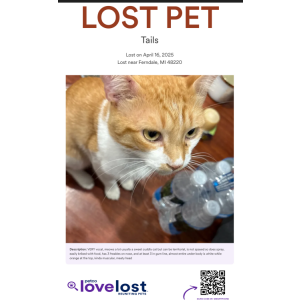 Lost Cat Tails