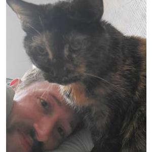 Lost Cat Puddin