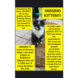 Image of Skunky, Lost Cat