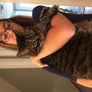 Lost Cat Angus