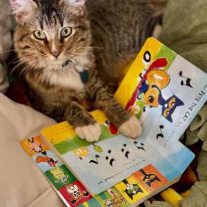 Lost Cat Pete