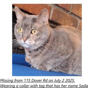 Lost 2 Sadie (AR)