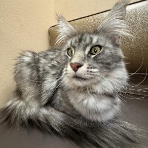 Lost 2 Karl (NV)
