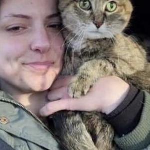 Image of Baby, Lost Cat