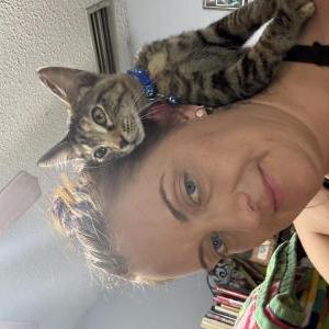 Lost Cat Max