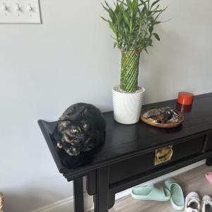 Lost Cat Heiza