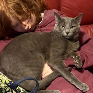 Lost Cat Quartz, aka Lewis 