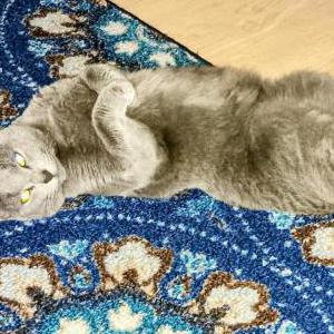 Lost Cat Opal