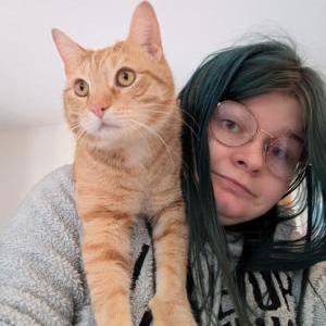Lost Cat Steven