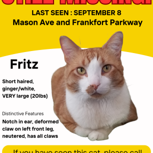 Lost Cat Fritz