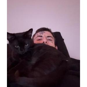 Lost Cat Foot