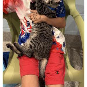 Lost Cat Billy