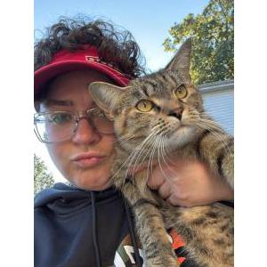 Lost Cat Cuddles
