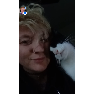 Lost Cat Oreo