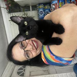 Lost Cat Panter