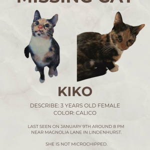 Lost Cat Kiko