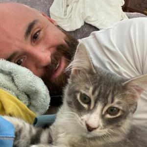 2nd Image of Archimedes, Lost Cat