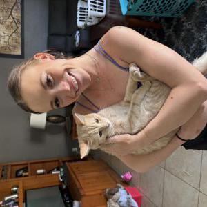 Image of Lasagna, Lost Cat