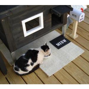 Image of Unknown, Found Cat