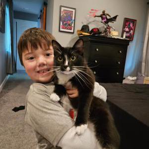 Image of Onyx, Lost Cat