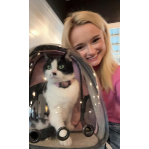 Image of YAYA, Lost Cat