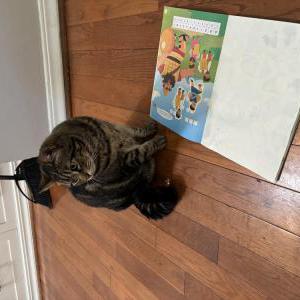 2nd Image of Bitsie “Bitz”, Lost Cat