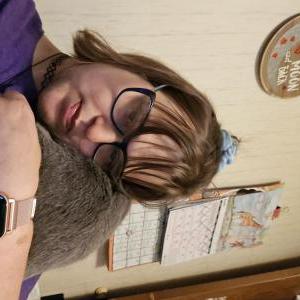 Image of Cutie pie, Lost Cat