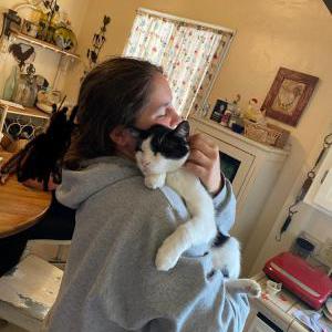 Lost Cat Reo
