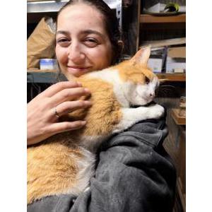 Image of Captain Flynt, Lost Cat