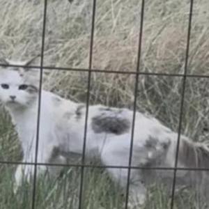 Lost 2 Lilly (Colorado)