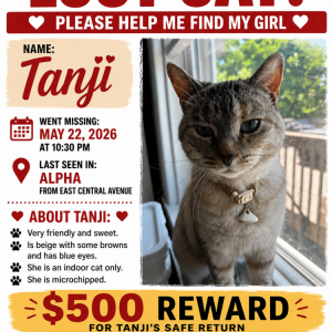 Image of Tanji, Lost Cat