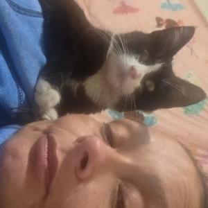 Image of Junior, Lost Cat